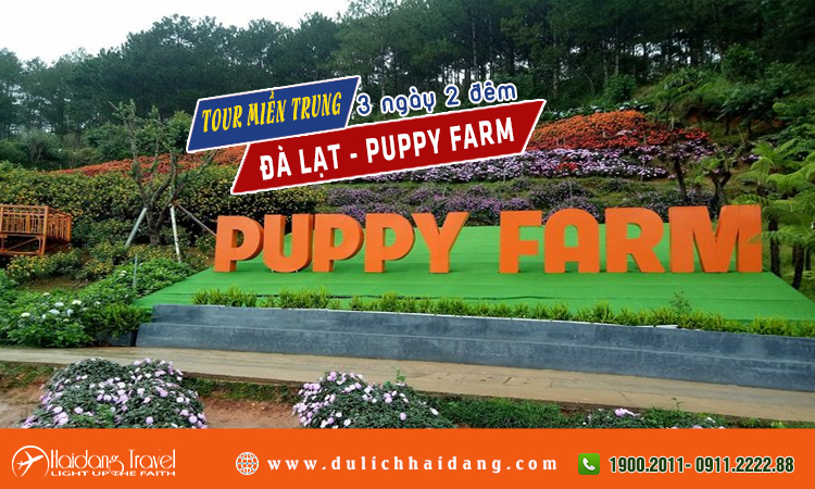 Tour miền trung đà lạt nông trại Puppy farm 3 ngày 3 đêm