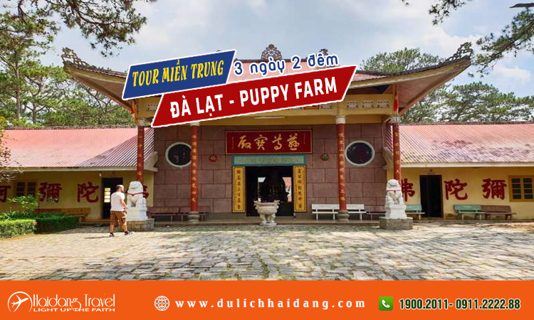 Tour miền trung đà lạt nông trại Puppy farm 3 ngày 3 đêm