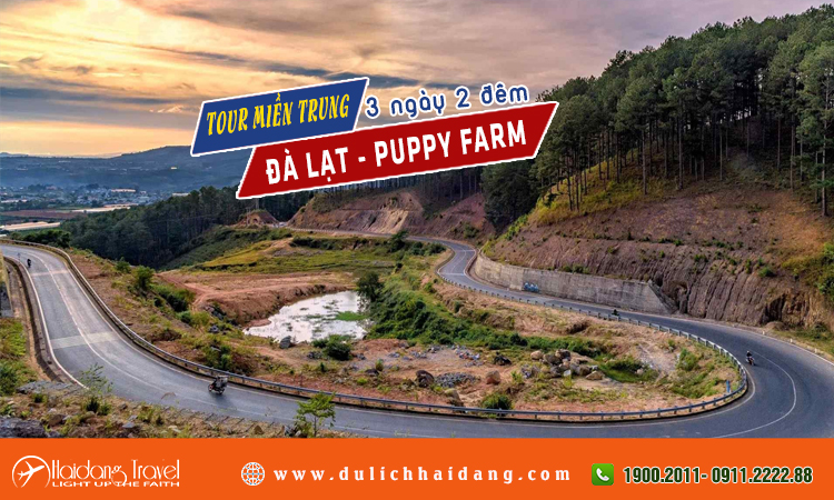 Tour miền trung đà lạt nông trại Puppy farm 3 ngày 3 đêm