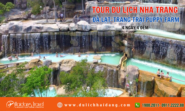 Tour du lịch Nha Trang Đà Lạt Trang Trại Puppy Farm 4 ngày 4 đêm