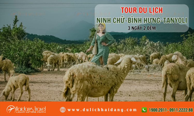 Tour du lịch Ninh Chữ Bình Hưng Tanyoli 3 ngày 2 đêm 