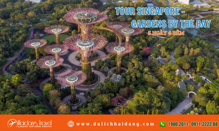 Tour Singapore Gardens By The Bay 5 ngày 4 đêm