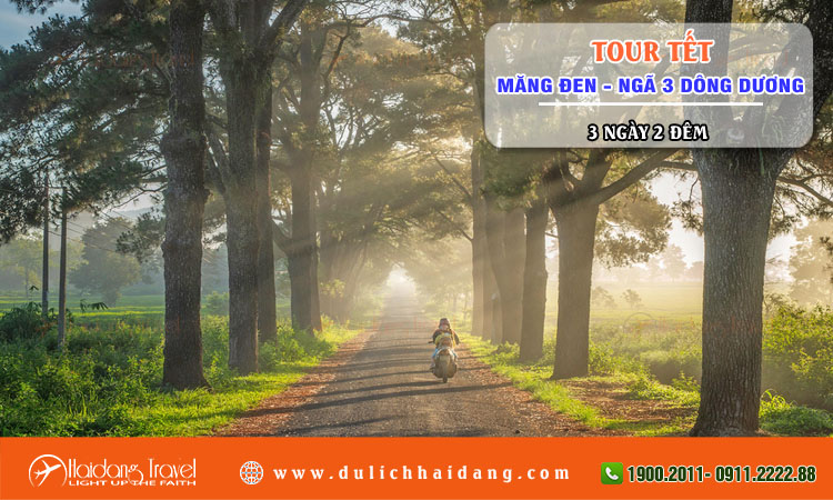 Tour Tết Măng Đen Ngã Ba Đông Dương 3 ngày 2 đêm