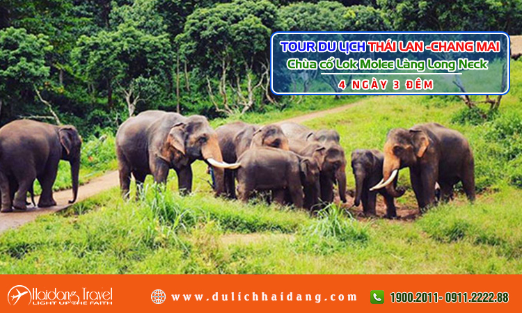 Tour Thái Lan Chiang Mai Chùa cổ Lok Molee Làng Long Neck 4 ngày 3 đêm