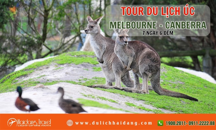 Tour Úc Melbourne Canberra 7 ngày 6 đêm