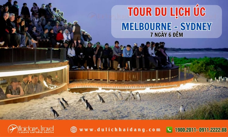 Tour Úc Melbourne Sydney 7 ngày 6 đêm