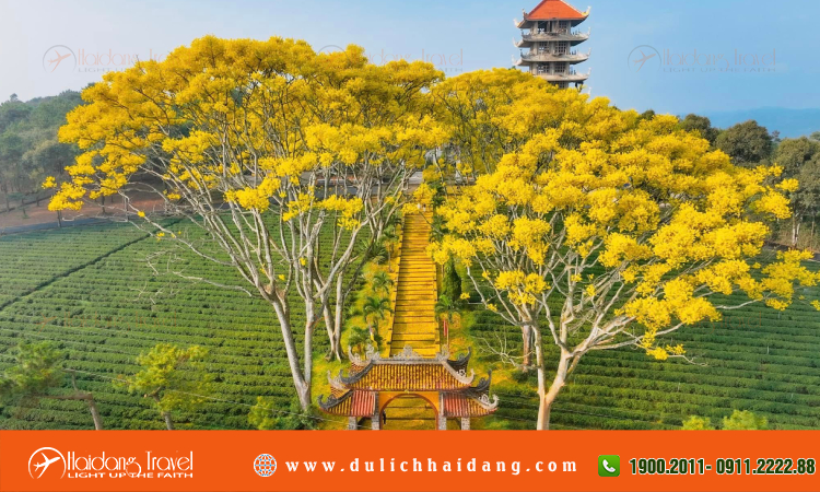 Tour du lịch Bảo Lộc