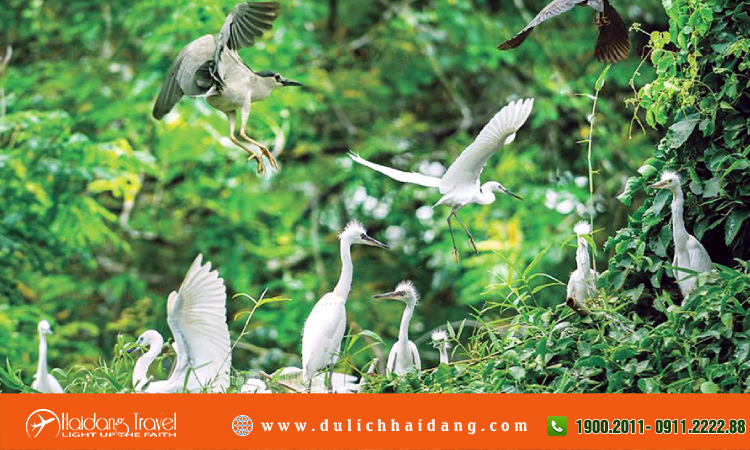 Tour du lịch Sóc Trăng